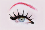 dagger lashes - likely makeup